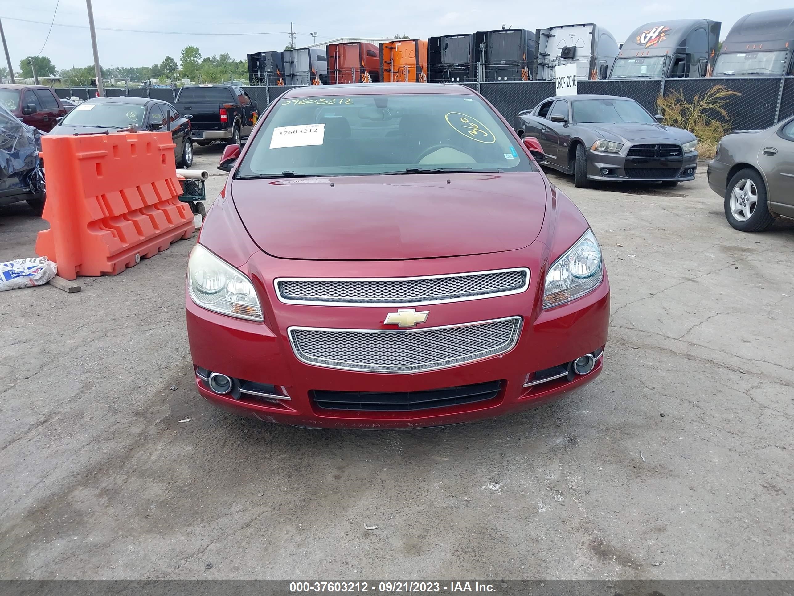 Photo 12 VIN: 1G1ZK57728F204978 - CHEVROLET MALIBU 