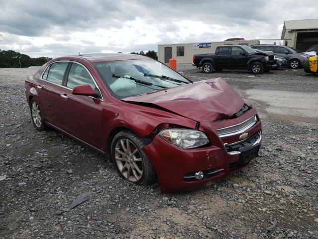 Photo 3 VIN: 1G1ZK57769F118817 - CHEVROLET MALIBU LTZ 