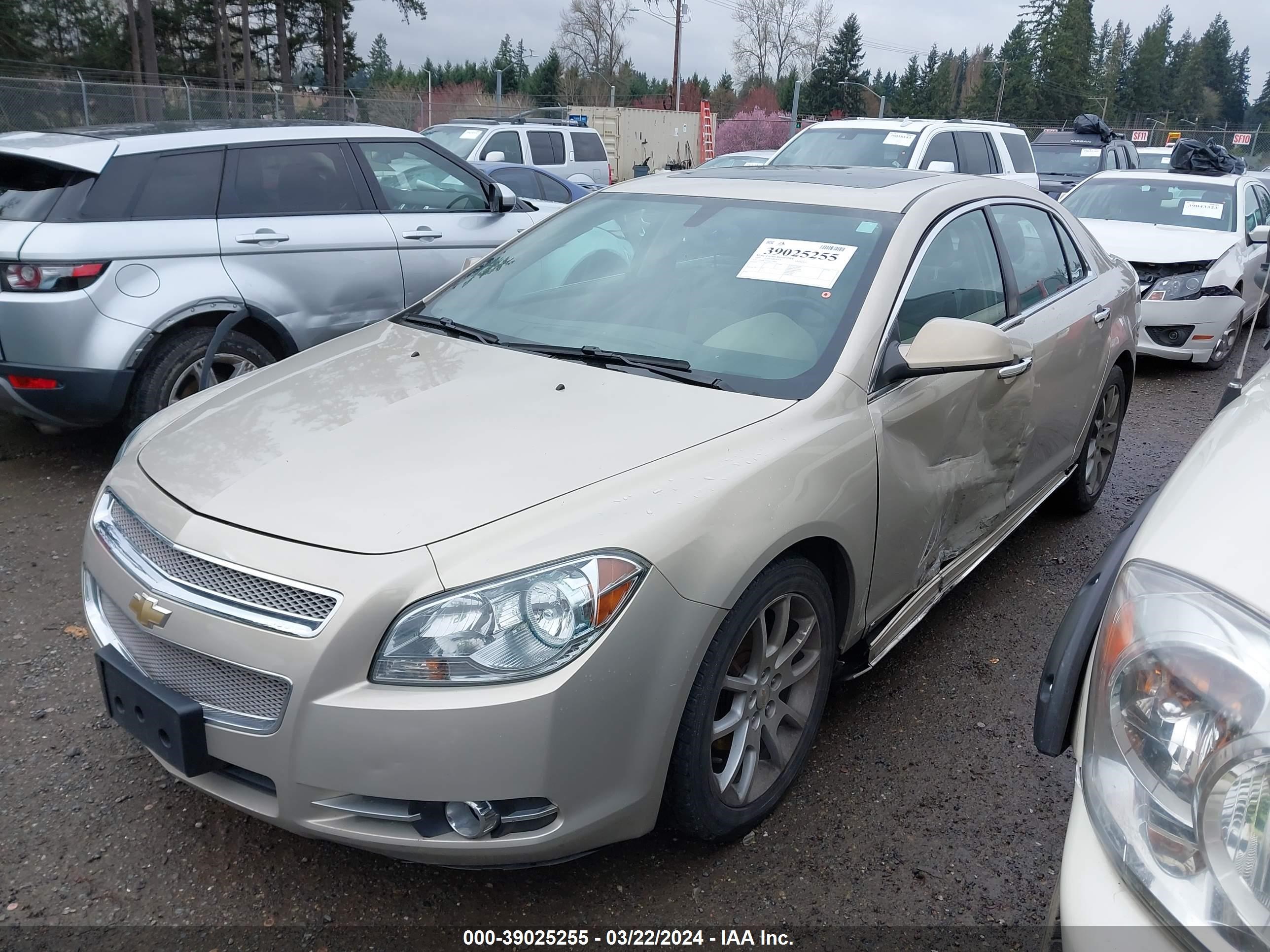 Photo 1 VIN: 1G1ZK57769F219985 - CHEVROLET MALIBU 