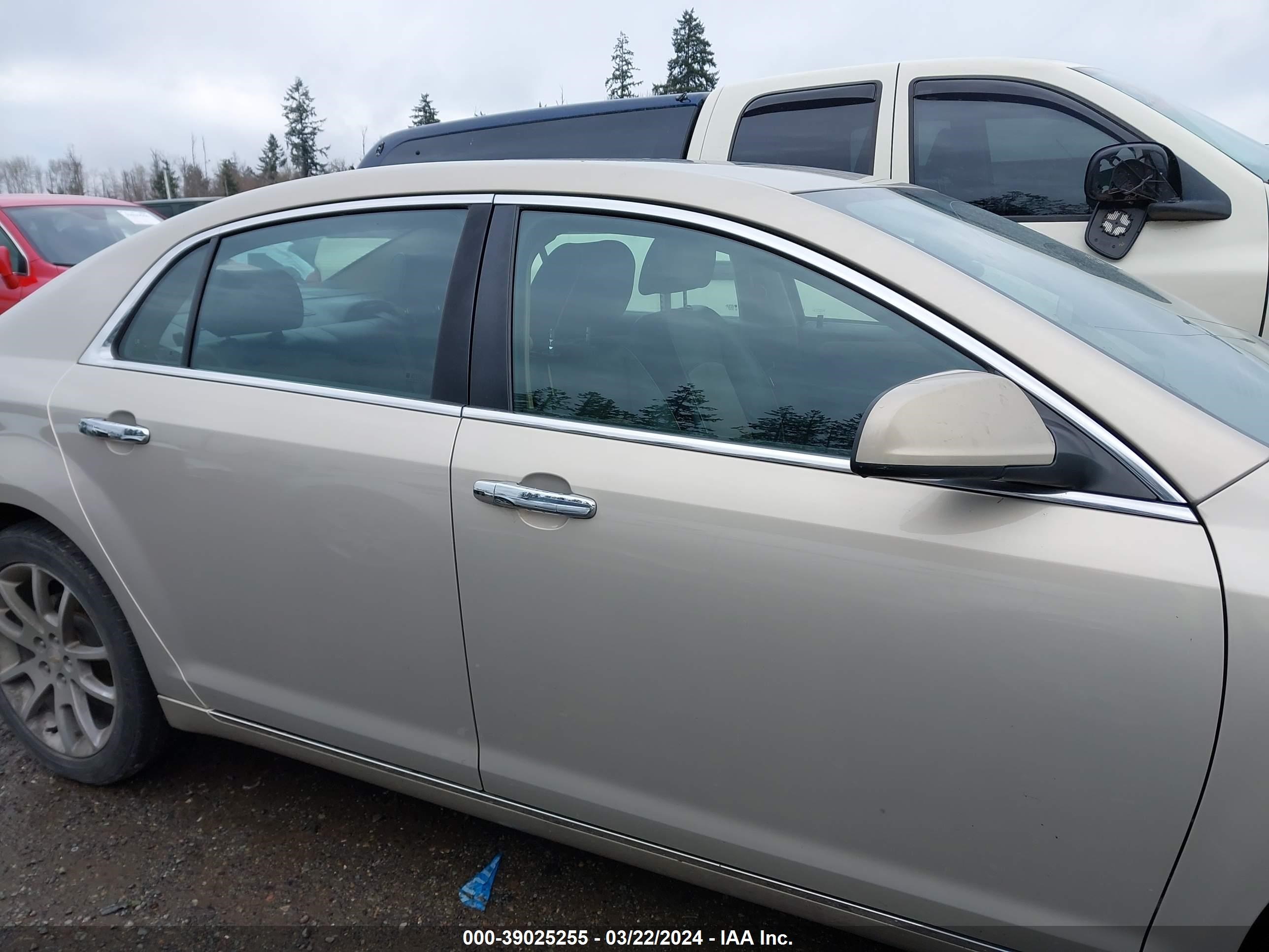 Photo 12 VIN: 1G1ZK57769F219985 - CHEVROLET MALIBU 