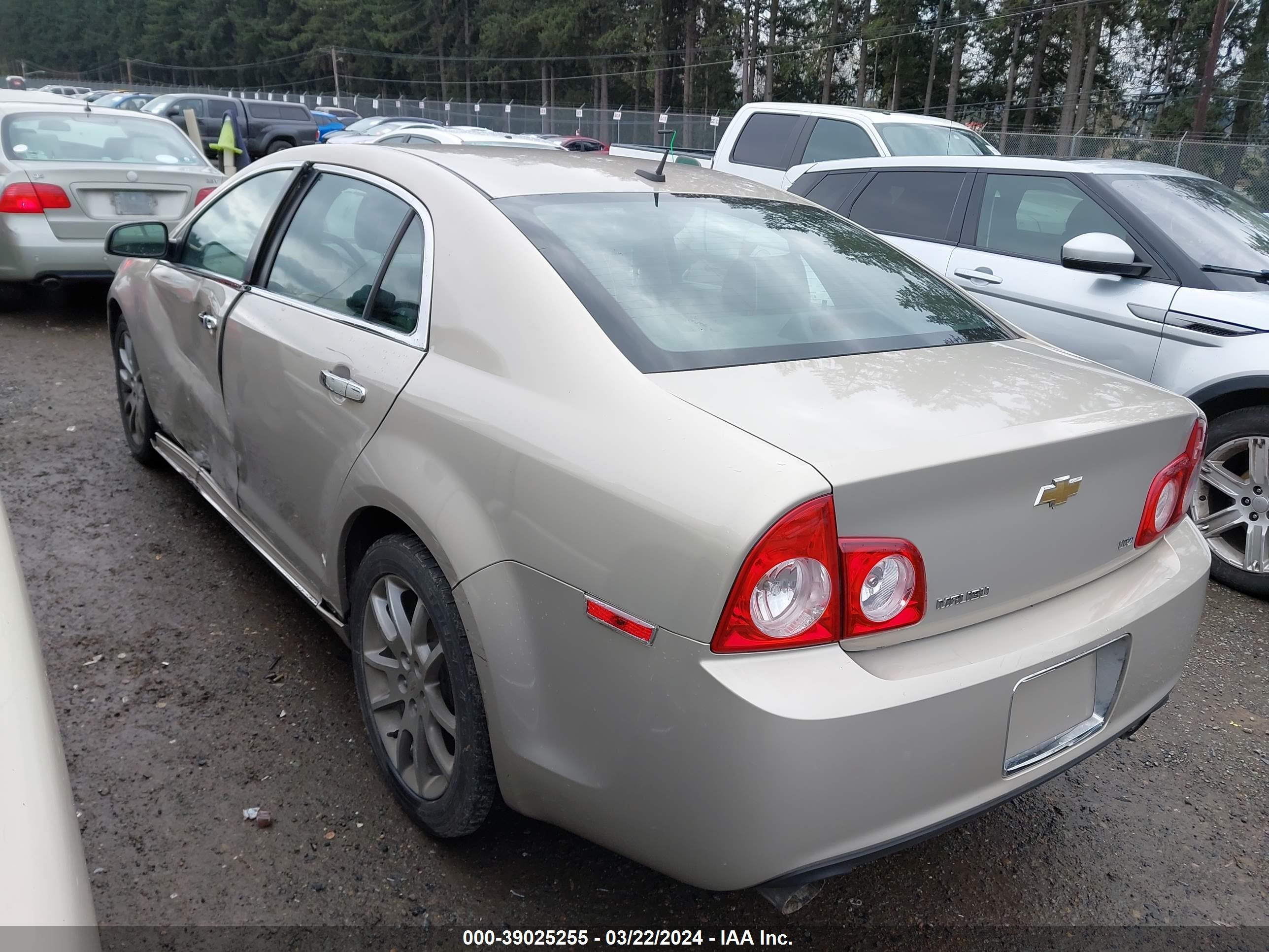 Photo 2 VIN: 1G1ZK57769F219985 - CHEVROLET MALIBU 