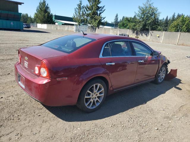 Photo 2 VIN: 1G1ZK57B59F141364 - CHEVROLET MALIBU 