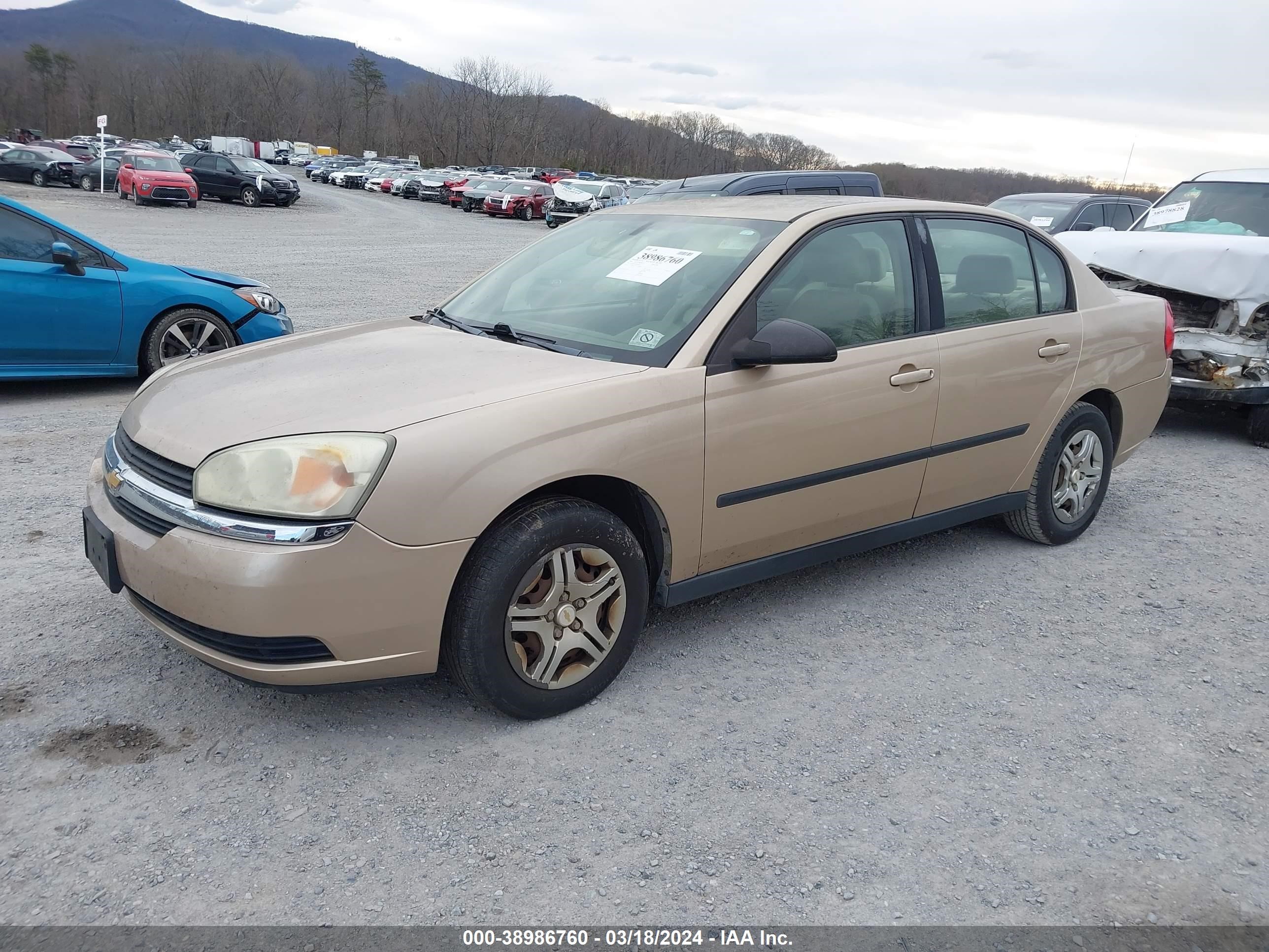 Photo 1 VIN: 1G1ZS52F55F249505 - CHEVROLET MALIBU 