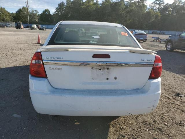 Photo 5 VIN: 1G1ZT51806F272806 - CHEVROLET MALIBU 