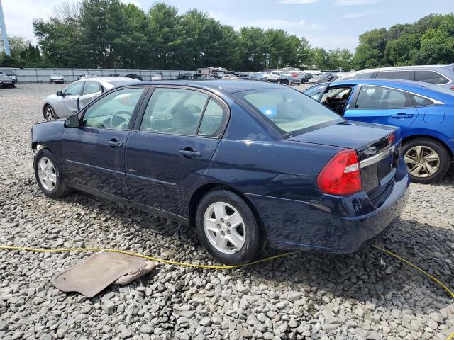 Photo 1 VIN: 1G1ZT52805F255856 - CHEVROLET MALIBU 