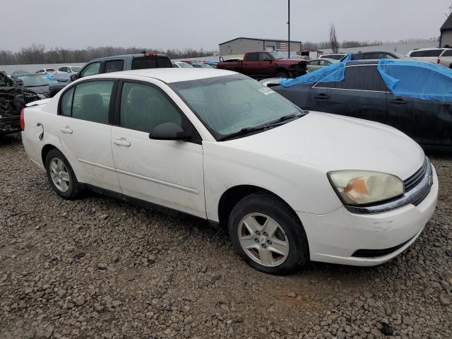 Photo 3 VIN: 1G1ZT52805F259342 - CHEVROLET MALIBU 