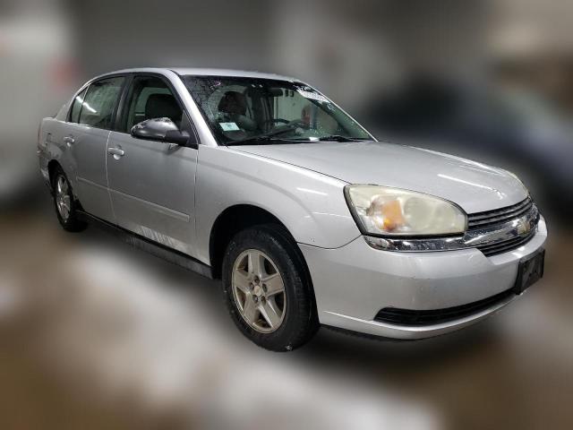 Photo 3 VIN: 1G1ZT52805F263276 - CHEVROLET MALIBU 