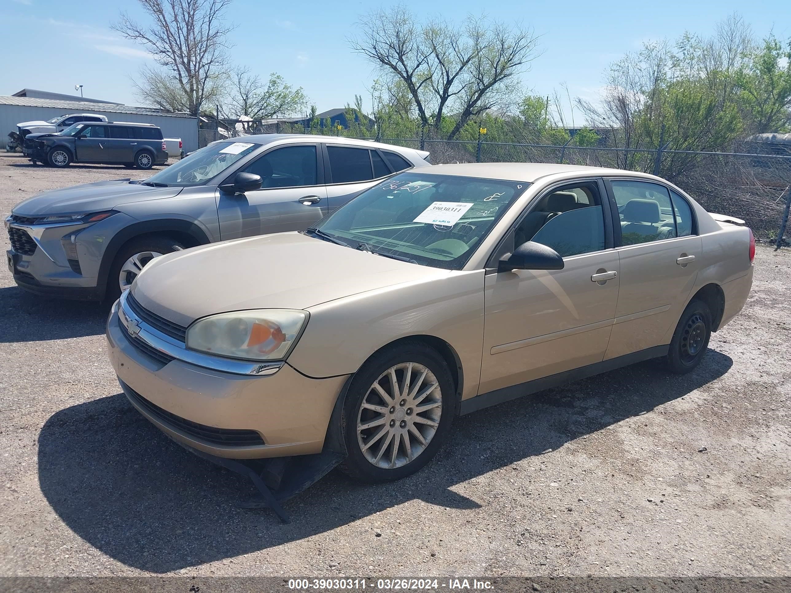 Photo 2 VIN: 1G1ZT52815F303820 - CHEVROLET MALIBU 