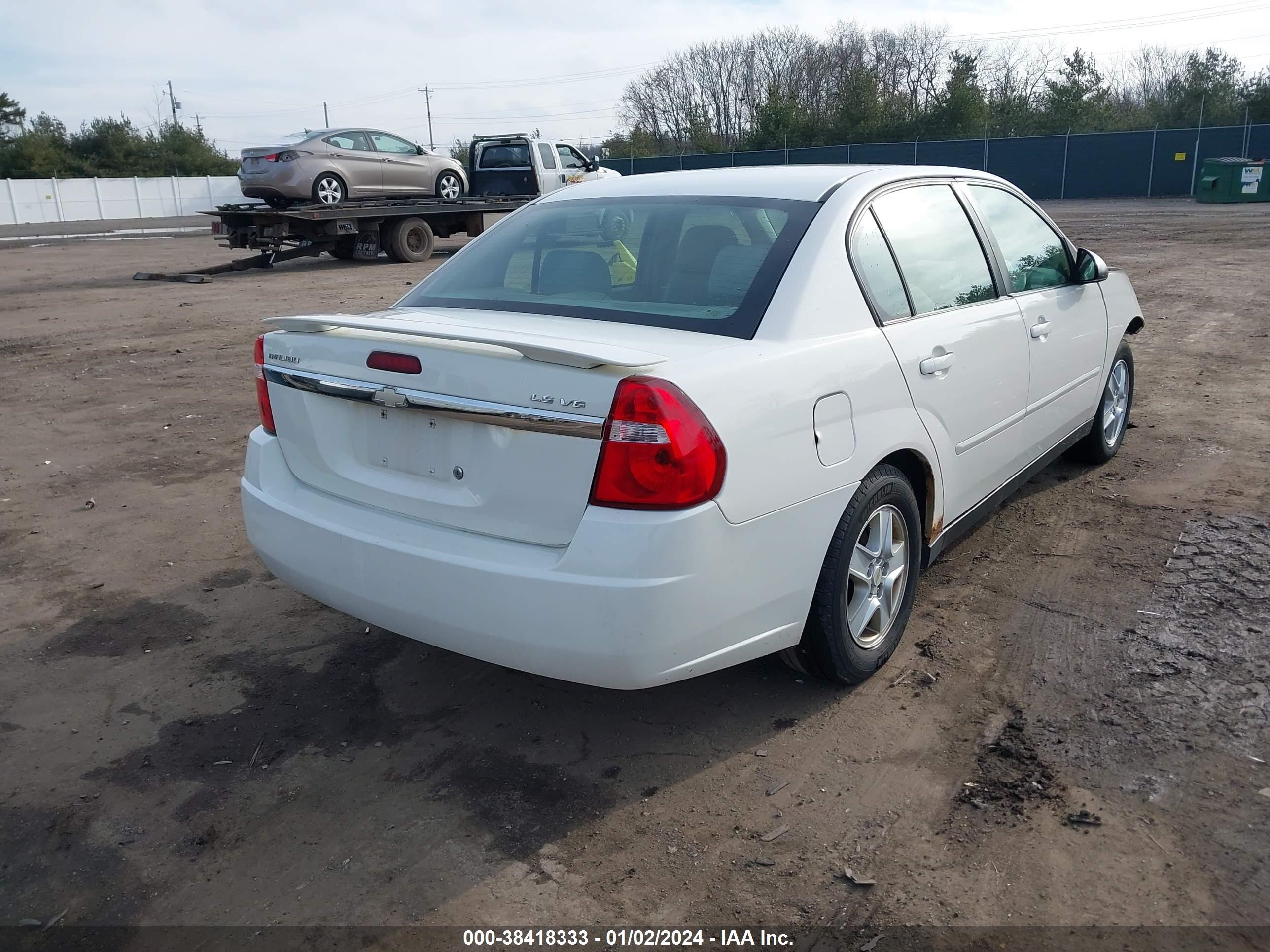 Photo 3 VIN: 1G1ZT52825F304880 - CHEVROLET MALIBU 