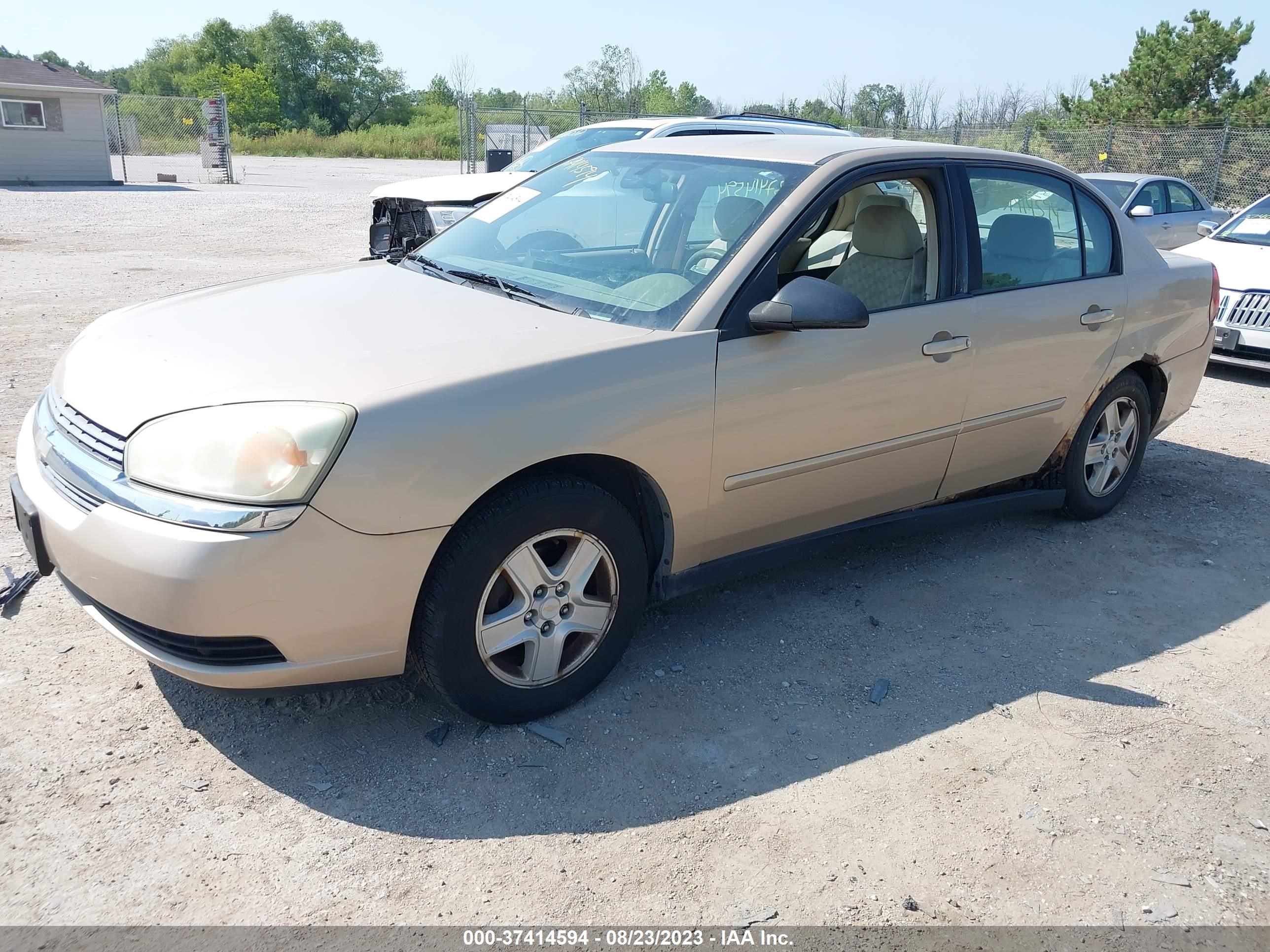 Photo 1 VIN: 1G1ZT52855F120999 - CHEVROLET MALIBU 