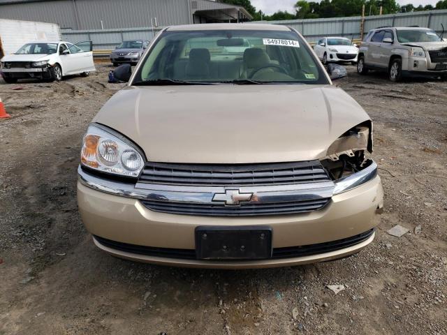 Photo 4 VIN: 1G1ZT52895F276270 - CHEVROLET MALIBU 