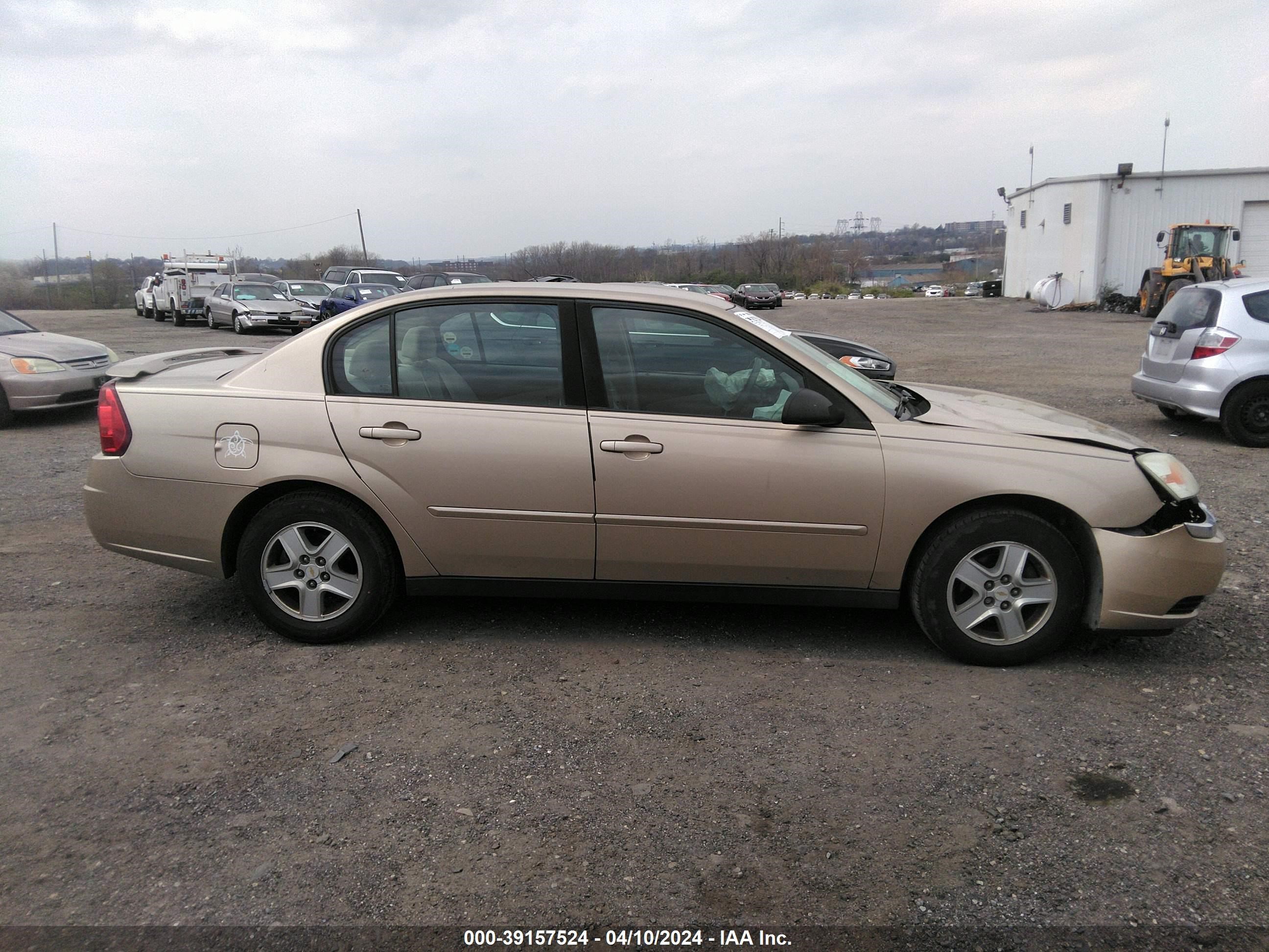 Photo 12 VIN: 1G1ZT54805F251416 - CHEVROLET MALIBU 