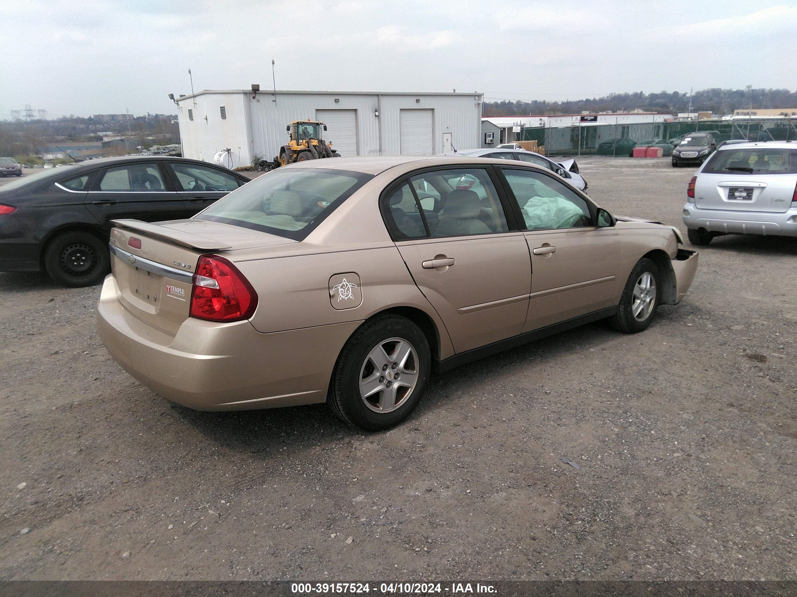 Photo 3 VIN: 1G1ZT54805F251416 - CHEVROLET MALIBU 