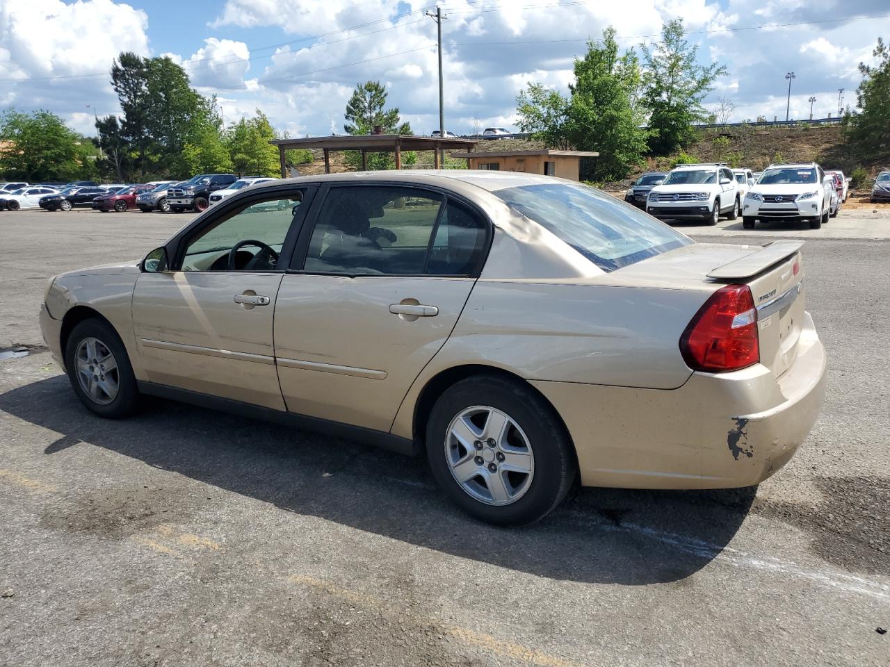 Photo 1 VIN: 1G1ZT54825F271666 - CHEVROLET MALIBU 