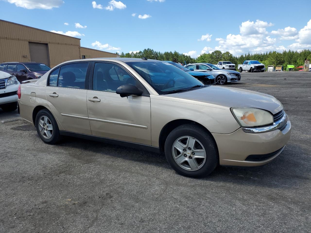 Photo 3 VIN: 1G1ZT54825F271666 - CHEVROLET MALIBU 