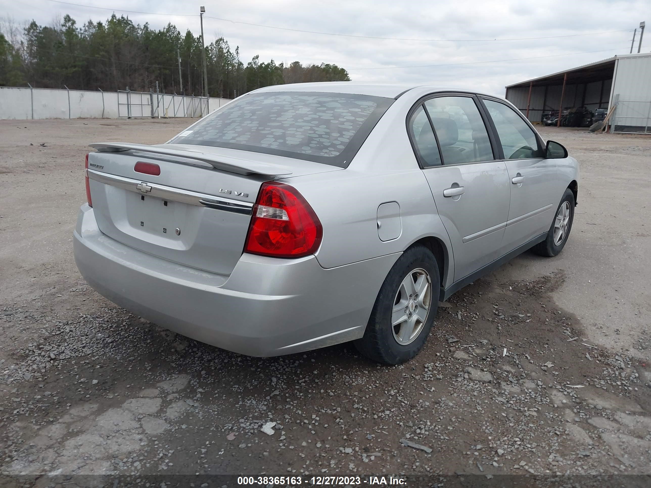 Photo 3 VIN: 1G1ZT54865F222261 - CHEVROLET MALIBU 