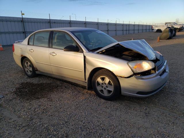 Photo 3 VIN: 1G1ZT54875F318853 - CHEVROLET MALIBU 