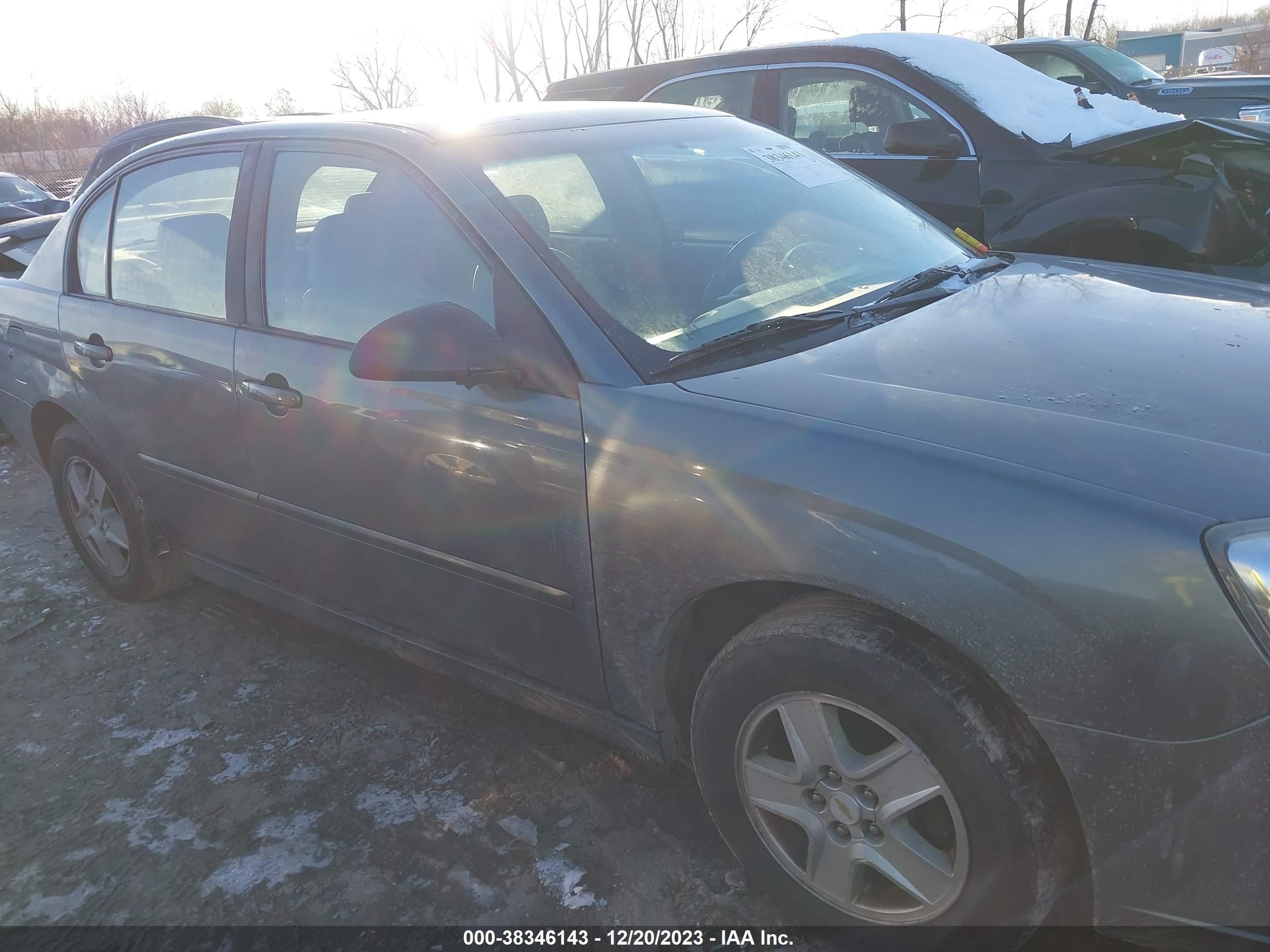 Photo 12 VIN: 1G1ZT54885F265483 - CHEVROLET MALIBU 