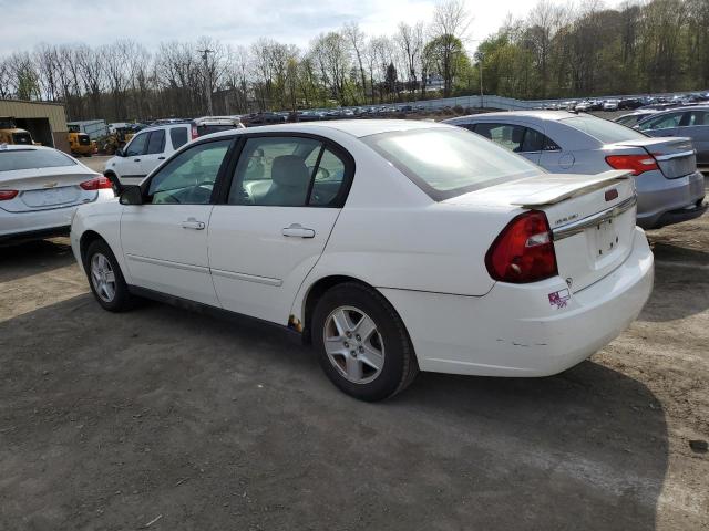 Photo 1 VIN: 1G1ZT54894F238842 - CHEVROLET MALIBU 