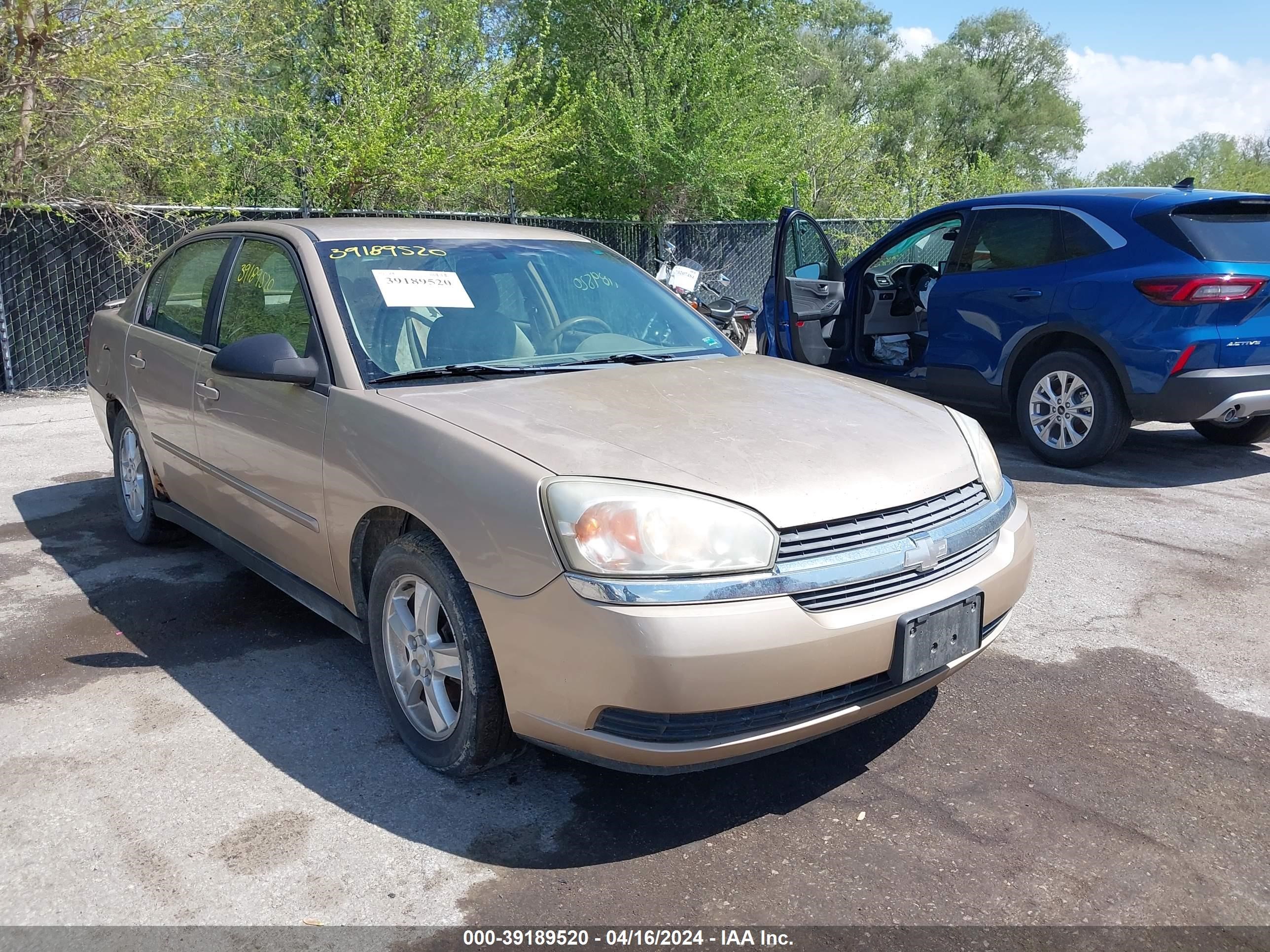 Photo 0 VIN: 1G1ZT54895F208791 - CHEVROLET MALIBU 