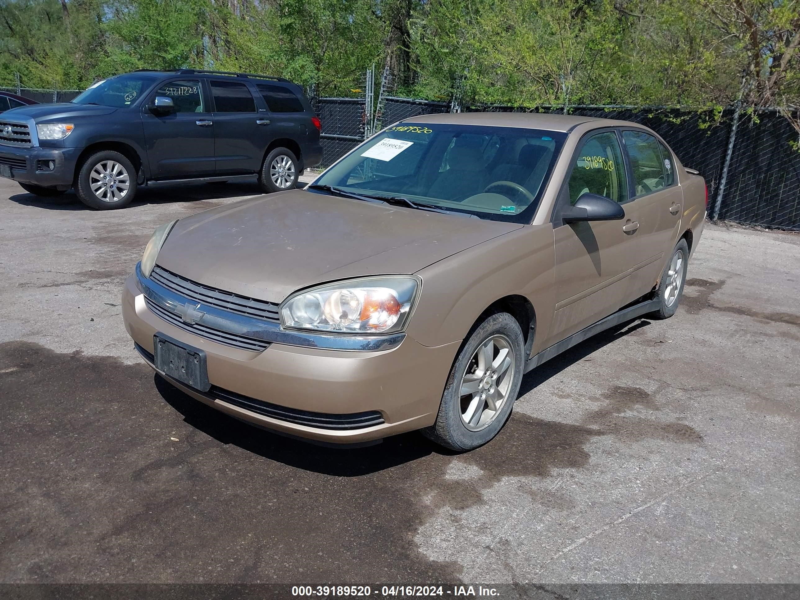 Photo 1 VIN: 1G1ZT54895F208791 - CHEVROLET MALIBU 