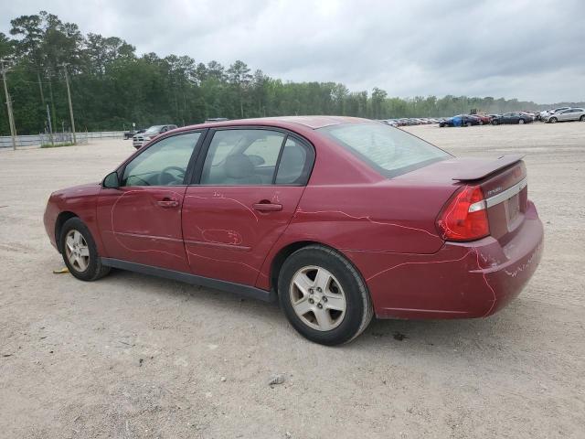 Photo 1 VIN: 1G1ZT54895F314321 - CHEVROLET MALIBU 