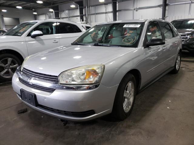 Photo 1 VIN: 1G1ZT64834F156031 - CHEVROLET MALIBU MAX 