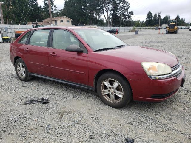 Photo 3 VIN: 1G1ZT64865F104894 - CHEVROLET MALIBU MAX 