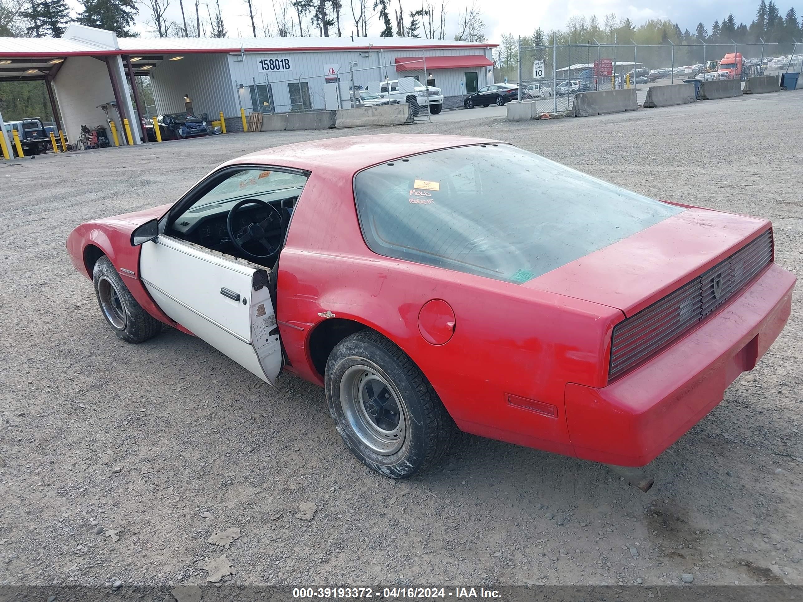 Photo 2 VIN: 1G2AS8717EL275855 - PONTIAC FIREBIRD 