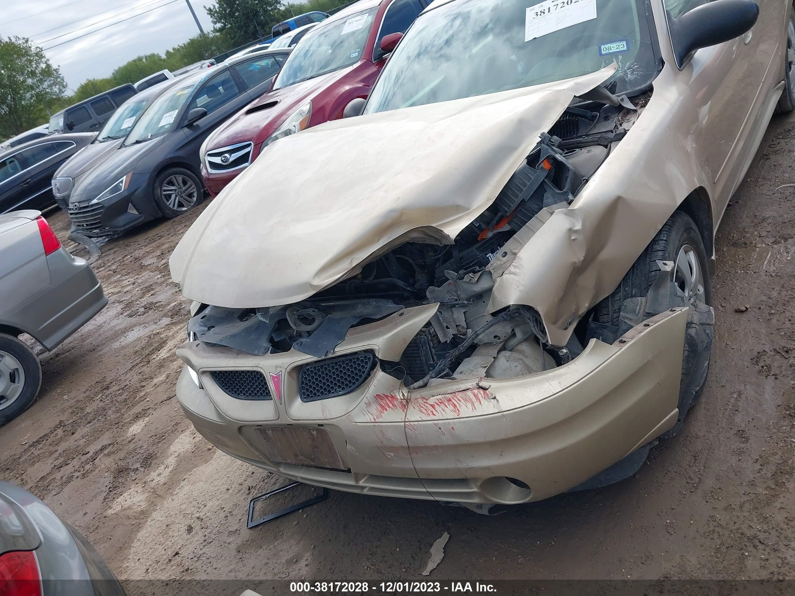 Photo 12 VIN: 1G2NE52E35M235638 - PONTIAC GRAND AM 