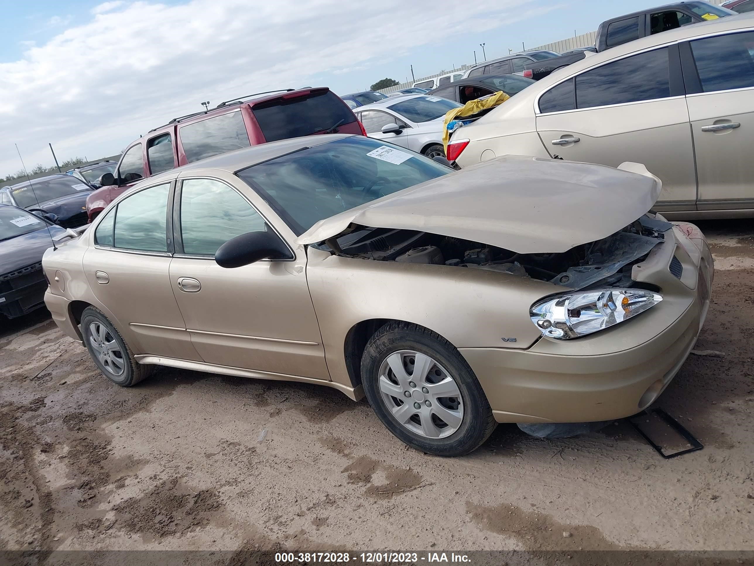 Photo 13 VIN: 1G2NE52E35M235638 - PONTIAC GRAND AM 