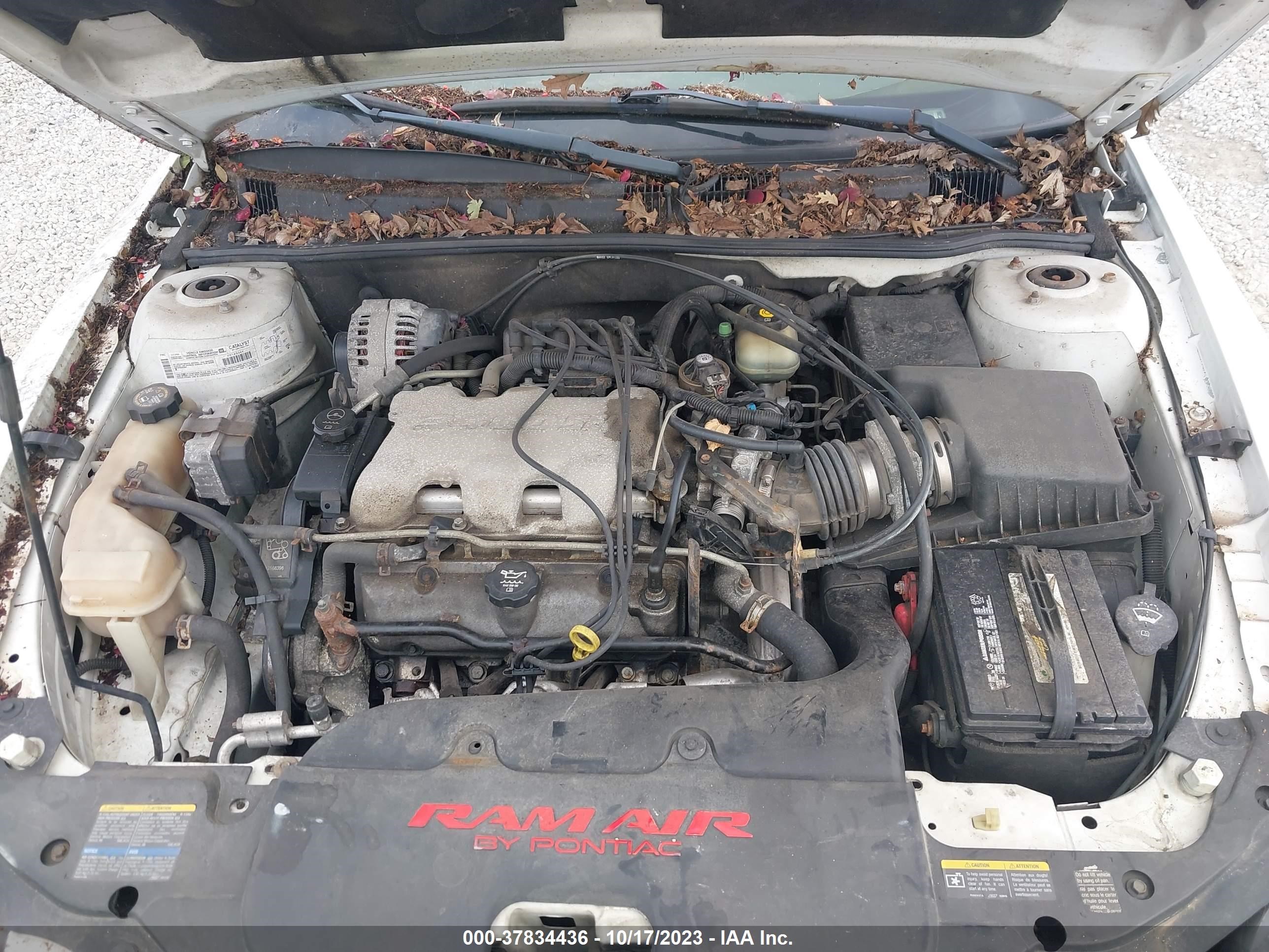 Photo 9 VIN: 1G2NW12EX3C162504 - PONTIAC GRAND AM 