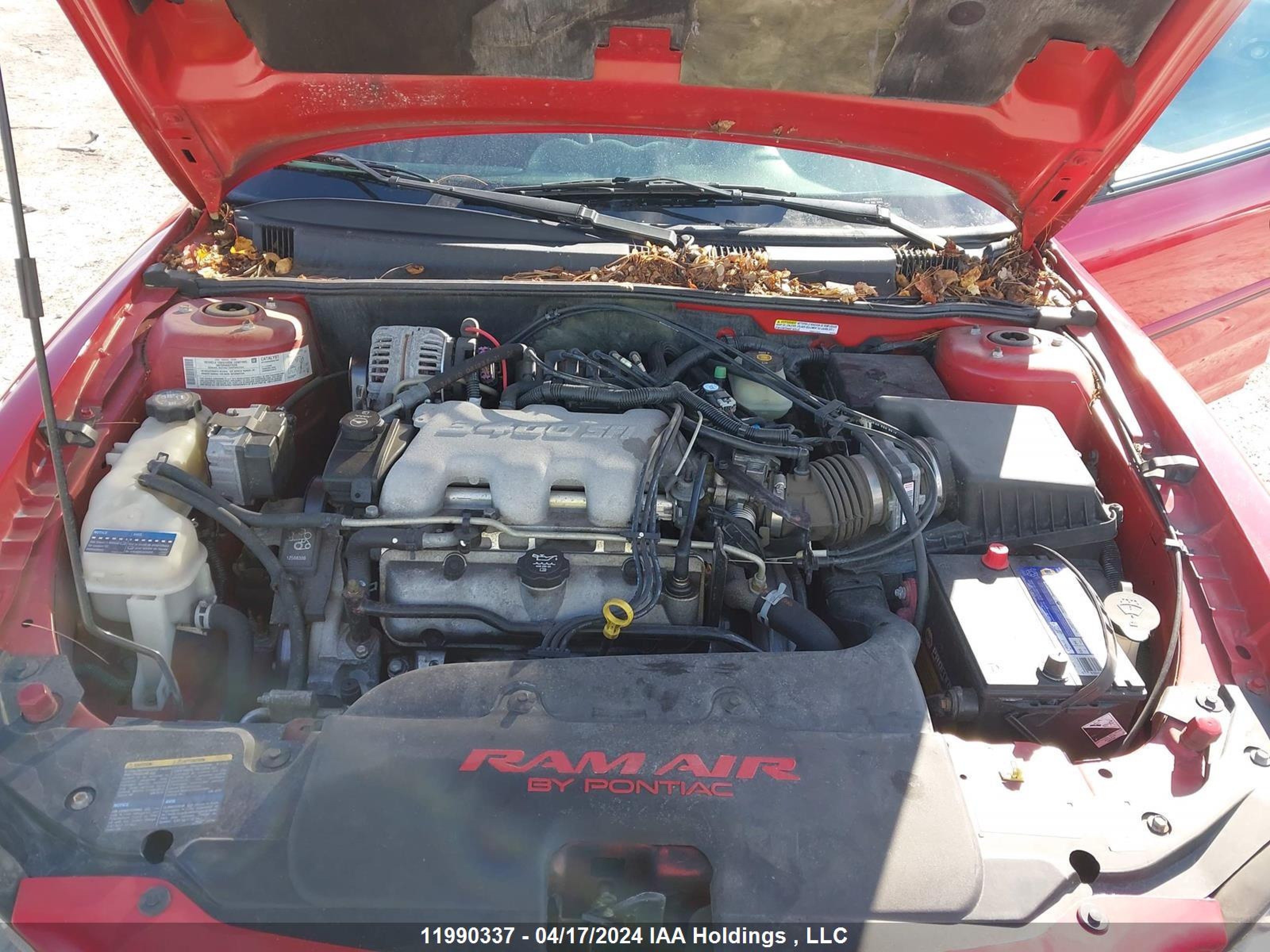 Photo 9 VIN: 1G2NW52E94C162809 - PONTIAC GRAND AM 