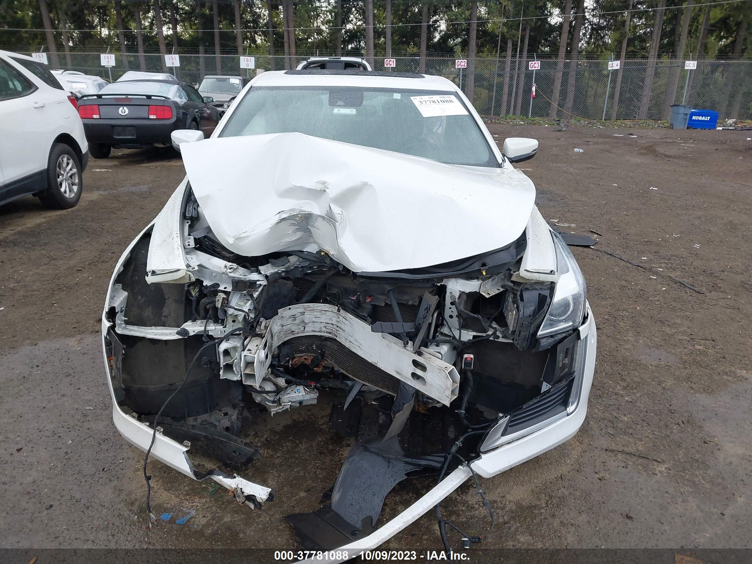 Photo 10 VIN: 1G6AS5SS6G0162772 - CADILLAC CTS 