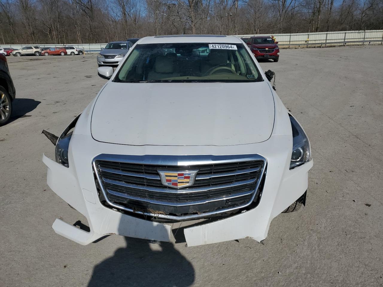 Photo 4 VIN: 1G6AX5SX3G0176903 - CADILLAC CTS 