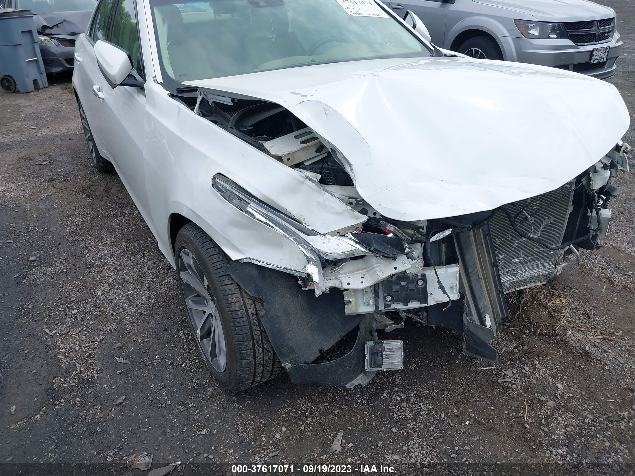 Photo 5 VIN: 1G6AX5SX7G0101279 - CADILLAC CTS 