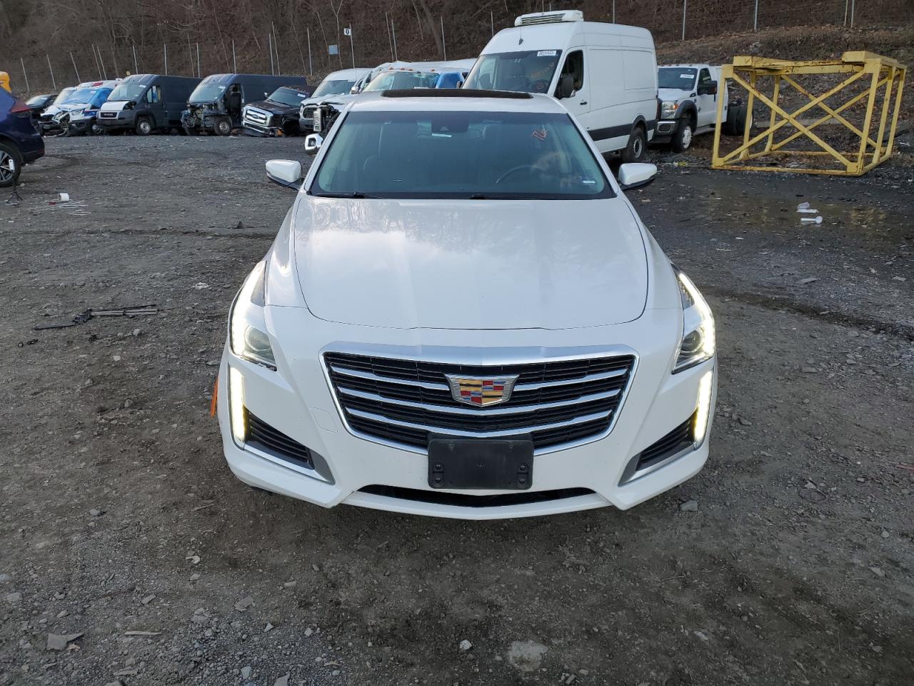 Photo 4 VIN: 1G6AX5SX8G0113909 - CADILLAC CTS 