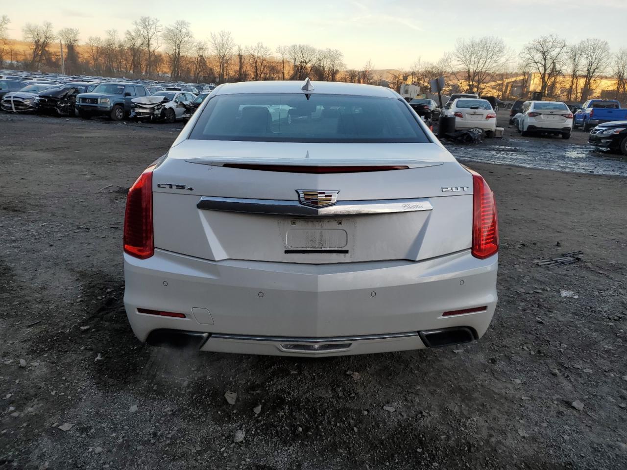 Photo 5 VIN: 1G6AX5SX8G0113909 - CADILLAC CTS 