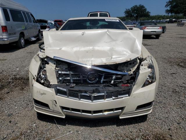 Photo 4 VIN: 1G6DA1E39E0142543 - CADILLAC CTS 