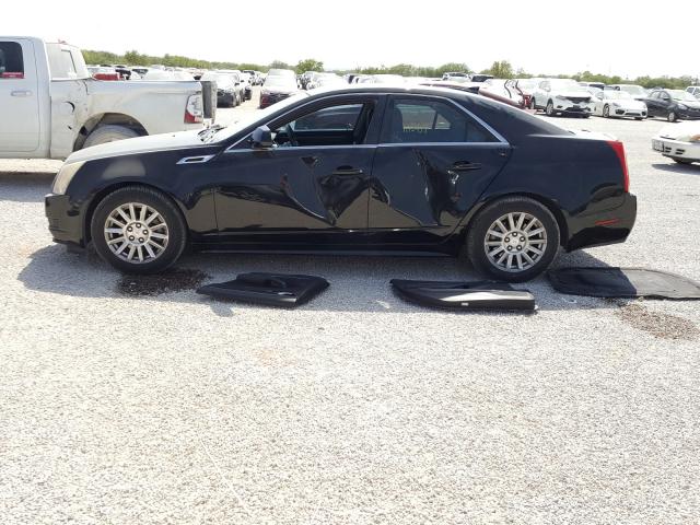 Photo 8 VIN: 1G6DA5E54C0103266 - CADILLAC CTS 