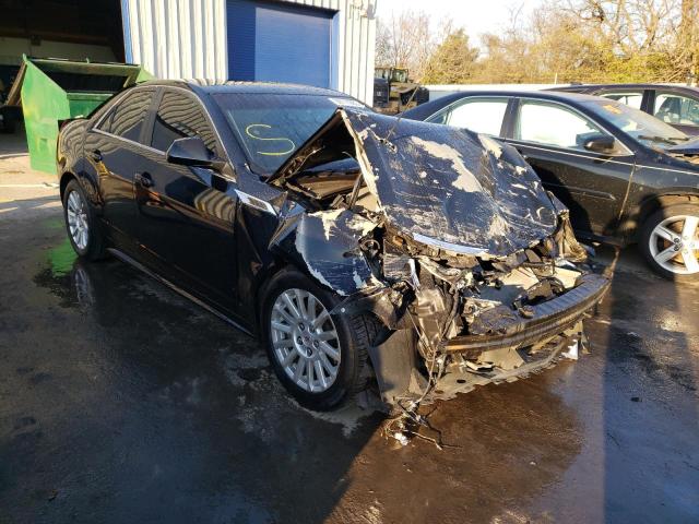 Photo 3 VIN: 1G6DA5E54C0142231 - CADILLAC CTS 