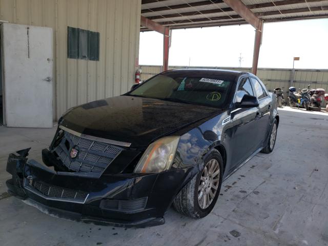 Photo 1 VIN: 1G6DA5EG3A0145037 - CADILLAC CTS 