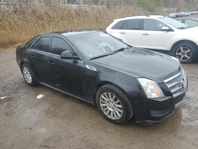 Photo 3 VIN: 1G6DA5EG4A0109941 - CADILLAC CTS 