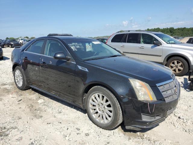 Photo 3 VIN: 1G6DA5EG6A0127597 - CADILLAC CTS 