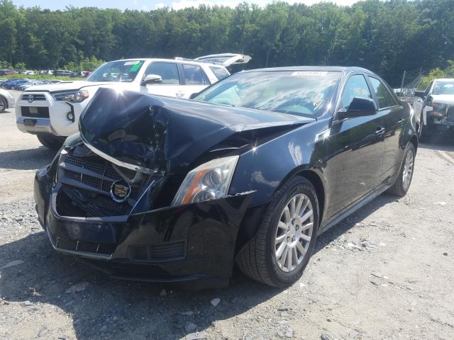 Photo 1 VIN: 1G6DA5EY0B0103578 - CADILLAC CTS 