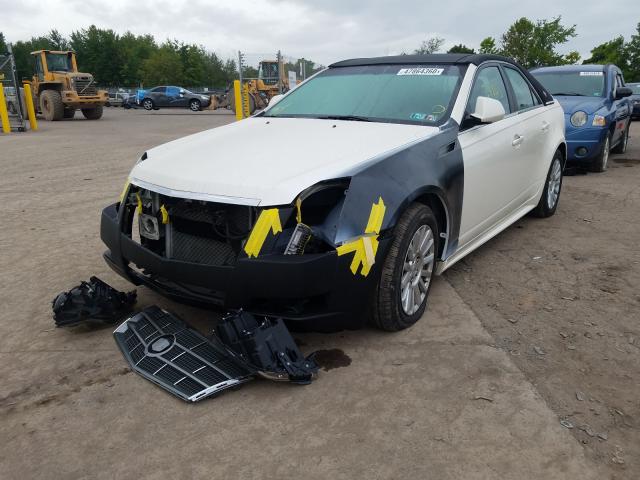 Photo 1 VIN: 1G6DA5EY4B0113854 - CADILLAC CTS 