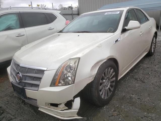 Photo 1 VIN: 1G6DA5EY5B0107979 - CADILLAC CTS 