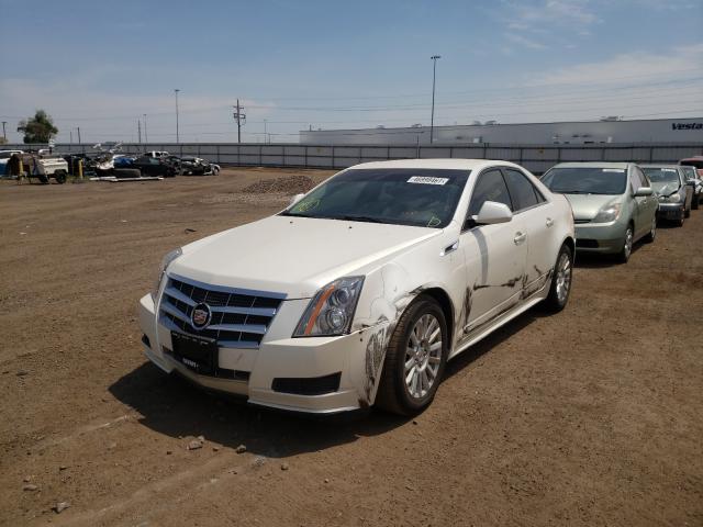 Photo 1 VIN: 1G6DA5EY6B0130994 - CADILLAC CTS 