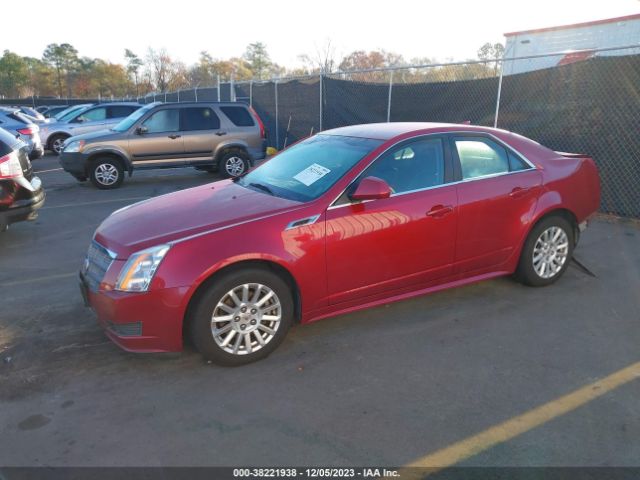 Photo 1 VIN: 1G6DA5EY7B0165138 - CADILLAC CTS 