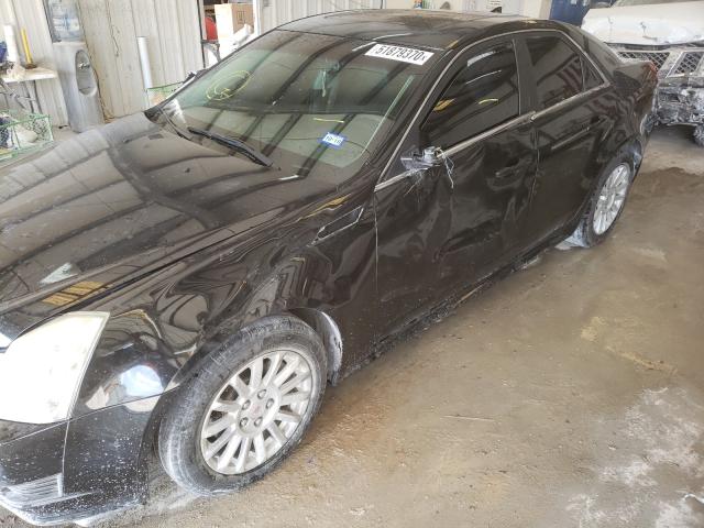 Photo 8 VIN: 1G6DA5EY9B0134425 - CADILLAC CTS 